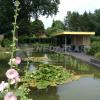 Nedaplast_Govadeck_over_het_water