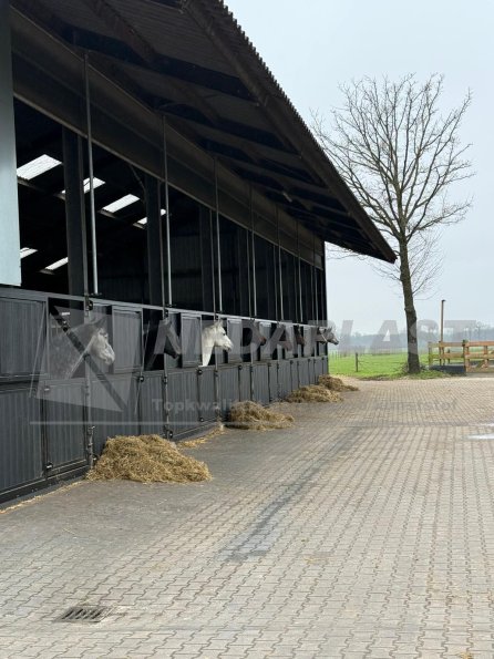 Tandgroef_stallenbouw